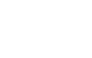Assurance Wireless