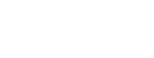 DISH wireless carrier partner